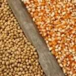 Estudo aponta incremento de 37% na produção de grãos no Matopiba em dez anos