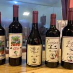 Divulgação - A bebida fermentada da polpa de açaí apresenta características físico-químicas e sensoriais semelhantes a alguns vinhos tintos