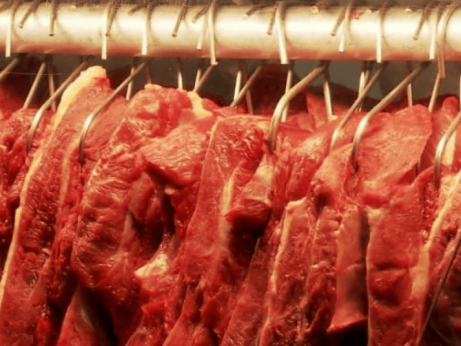 Governo do Tocantins quer exportar carne para a Europa