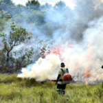 Naturatins realiza oficina para brigadistas da Área de Proteção Ambiental e Parque Estadual do Jalapão nesta sexta, 21