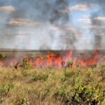 Naturatins suspende a emissão e a vigência das autorizações de queima controlada em todo o Tocantins