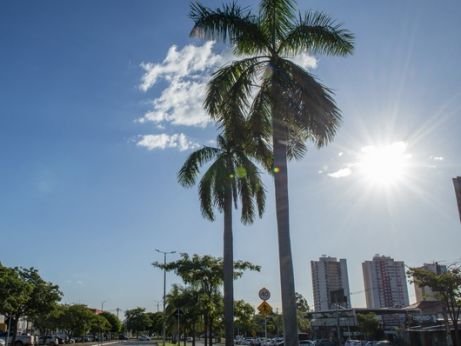 Prazo para inscrições da eleição do Conselho Municipal de Meio Ambiente é prorrogado