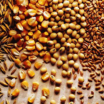 Produção brasileira deve chegar a 390 milhões de toneladas de grãos em dez anos