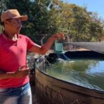 “Sisteminha – Peixe e Horta” é desenvolvido pelo projeto Energia para Crescer em comunidades no Jalapão