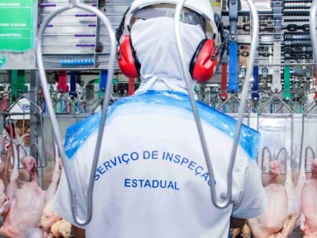 Tocantins toma medidas de precaução contra gripe aviária
