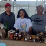 CASEARA: Festival da Macaúba destaca potencial do Cerrado