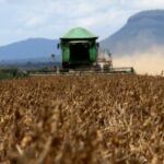CEPEA: PIB da cadeia da soja e do Biodiesel pode crescer 20% em 2023