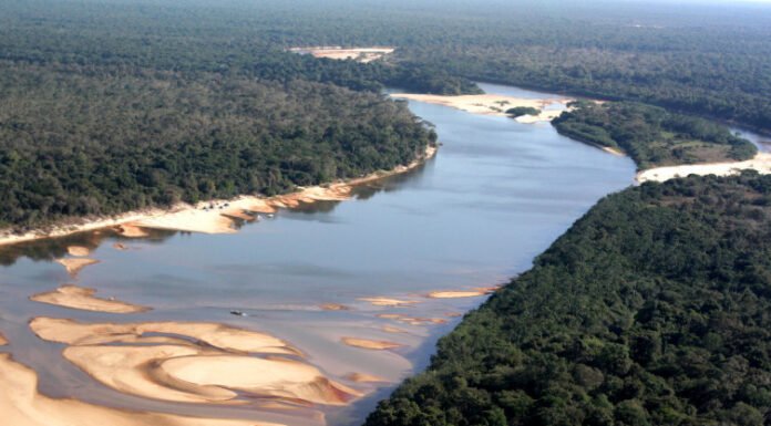 Naturatins realiza programação da Agenda Ambiental em Pium