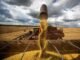 O Agronegócio no Tocantins: Potencialidades e desenvolvimento sustentável