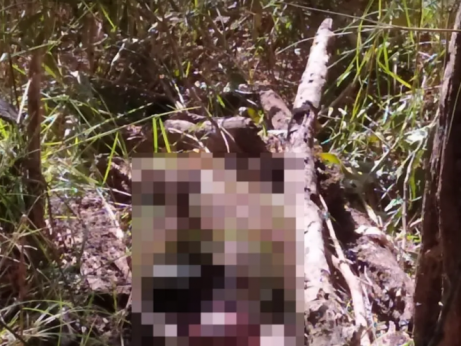 Briga por cabeças de gado termina em assassinato em Formoso do Araguaia