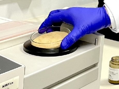 Embrapa lança tecnologia de análise da qualidade de rações para peixes com baixo custo e sustentável