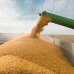 Faturamento bruto do total das lavouras brasileiras aumenta 45% em cinco anos
