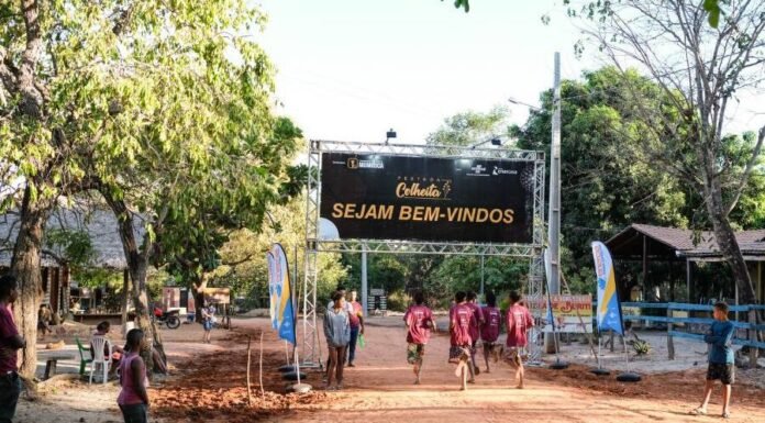 Festa da Colheita do Capim Dourado tem o apoio do Sebrae Tocantins e Energisa