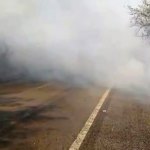 Motoristas devem ficar em alerta com queimadas nas rodovias do Tocantins