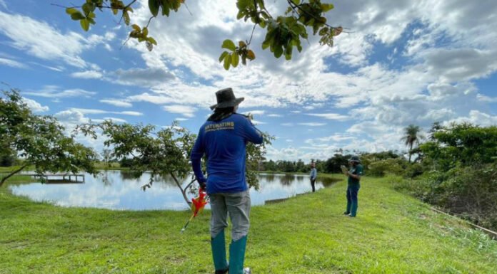 Naturatins celebra os 13 anos da lei que estabelece a Política Nacional de Segurança de Barragens