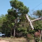 Caminhonete derruba tr