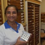 Abelhas-sem-ferrão ajudam na polinização de hortaliças em estufas