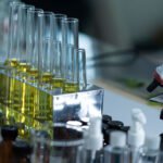 Agro continuará com papel importante na produção das energias do futuro Envato - No documento, os especialistas recomendam a expansão da produção e o uso de biocombustíveis, área na qual o Brasil tem experiência, para cumprir as metas de descarbonização