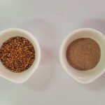 Laboratório de Nutrição Experimental da UFV - A farinha apresenta altos teores de compostos com atividade antioxidante