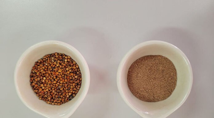 Laboratório de Nutrição Experimental da UFV - A farinha apresenta altos teores de compostos com atividade antioxidante