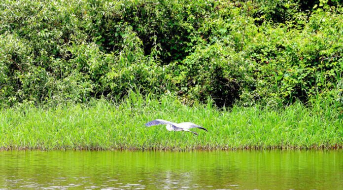 Governo do Tocantins promove Oficina de Planejamento da região turística da Ilha do Bananal