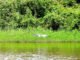 Governo do Tocantins promove Oficina de Planejamento da região turística da Ilha do Bananal