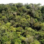 Governo do Tocantins apoia realização do 1° Fórum de Sustentabilidade do Estado do Tocantins