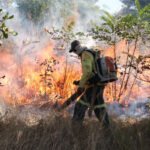 Governo do Tocantins apresenta resultado das ações de combate às queimadas realizado pelo Comitê Estadual do Fogo de 2023