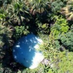 Governo do Tocantins disponibiliza questionário de Avaliação Qualitativa do ICMS Ecológico ano-base 2024 para municípios tocantinenses