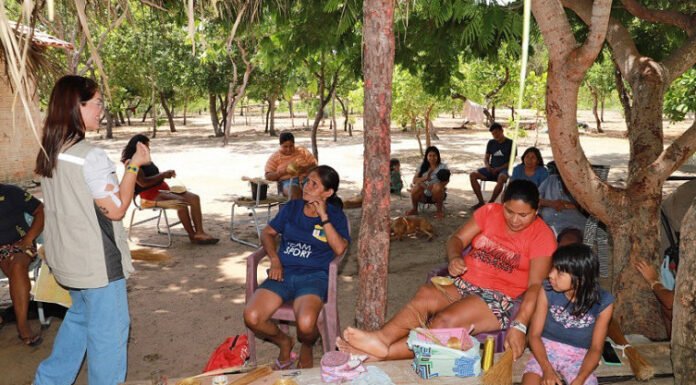 Naturatins realiza roda de conversa sobre o uso sustentável do capim-dourado e do buriti em aldeias Xerente