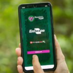 Aplicativo auxilia o manejo sustentável de açaizais nativos na Amazônia Vinícius Braga - Com o aplicativo Manejatech-açaí as etapas do processo de manejo dos açaizeiros ganham agilidade