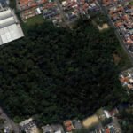 Bosque em Curitiba reduz a temperatura em até 4ºC IPPUC - O estudo indicou as espécies florestais de maior ocorrência no bosque. Os dados finais permitiram avaliar o potencial do espaço na mitigação de GEE