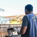 Governo do Tocantins investe mais de R$ 6 milhões no fortalecimento do sistema de defesa agropecuária