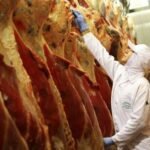 Rússia audita 11 frigoríficos do Brasil para exportação de carne bovina e de aves