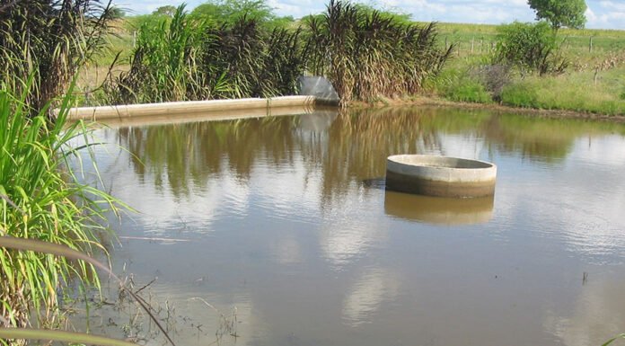Regimere Melo - A barragem subterrânea no Semiárido permite a conversão de áreas secas e inaptas à atividade agrícola em solos de produção agropecuária para agricultores familiares. Na foto, exemplo de barragem subterrânea no início das chuvas