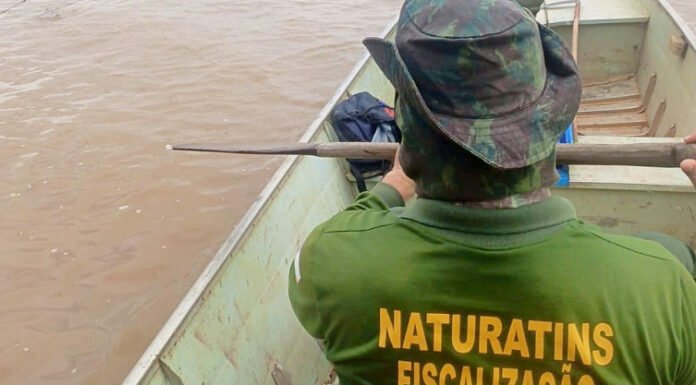 Naturatins recolhe 1,8 mil metros de redes de pesca e um animal silvestre durante Operação Piracema