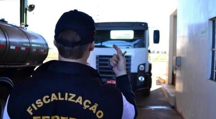 Greve de auditores agropecuários pode afetar produção de carnes, diz especialista