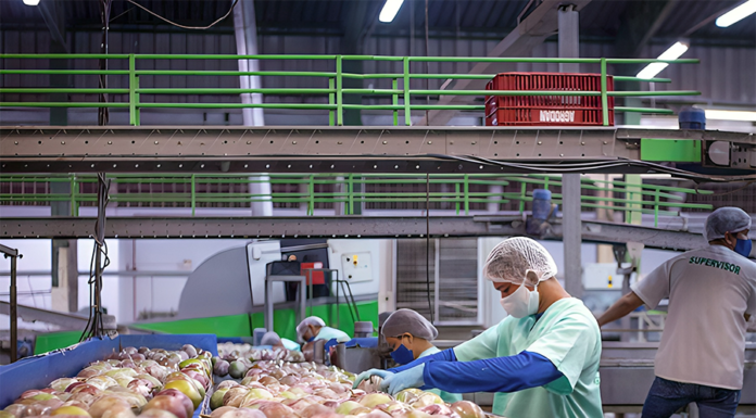 Divulgação - A tendência para 2024 é um primeiro semestre com preços favoráveis e exportações em alta