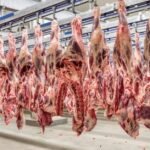 Mais 38 frigoríficos brasileiros podem exportar carnes para a China
