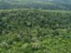 Semarh alerta sobre fim do prazo para preenchimento do Questionário do ICMS Ecológico do Tocantins, que encerra na sexta-feira, 15