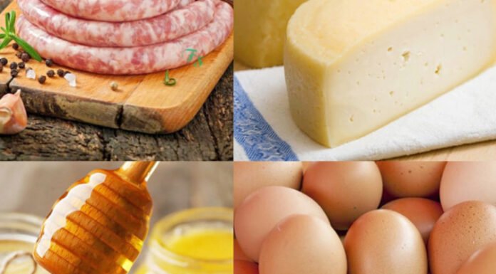 Governo do Tocantins promove evento para incentivar a adesão ao Sistema Unificado Estadual de Sanidade Agroindustrial