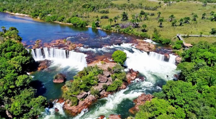 Naturatins celebra 35 anos de compromisso com a preservação dos recursos naturais em consonância com a legislação ambiental