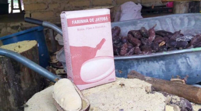 Comunidades das Unidades de Conservação expõem riquezas culturais e produtos artesanais na Agrotins 2024