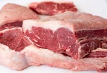 carne bovina - exportações