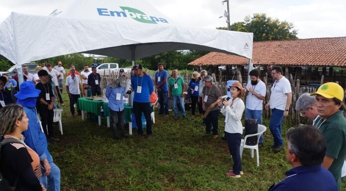 Embrapa promove debate sobre melhorias para sistemas de produção integrados para o Semiárido