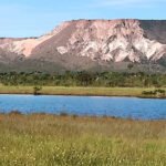 Governo do Tocantins promove a Semana do Meio Ambiente com foco na preservação e sustentabilidade do patrimônio natural do Estado