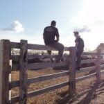 Operação quer apreender 6 mil cabeças de gado e doar carne para Rio Grande do Sul Ibama, gado, Pará, terra indigena