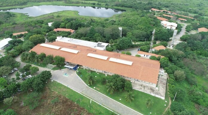 Embrapa Caprinos e Ovinos seleciona bolsistas e estagiários