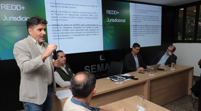 Governo do Tocantins lança Estratégia de Combate ao Desmatamento Ilegal na Semana do Meio Ambiente do Estado