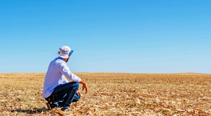 Governo do Tocantins orienta produtores sobre o período do vazio sanitário da soja que começa no dia 1º de julho